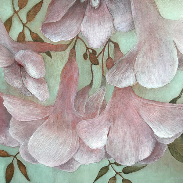 First Flowers (Pandorea) by Lindy  Sale | Lethbridge Gallery